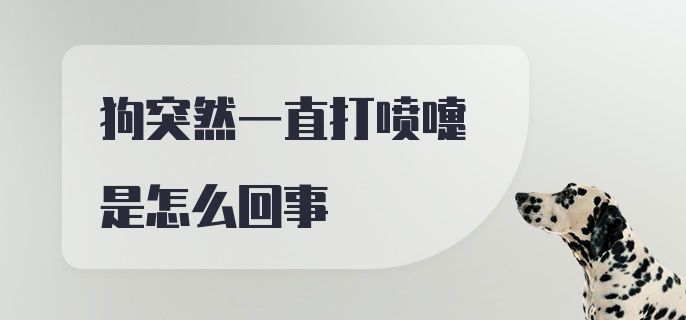 狗突然一直打喷嚏是怎么回事