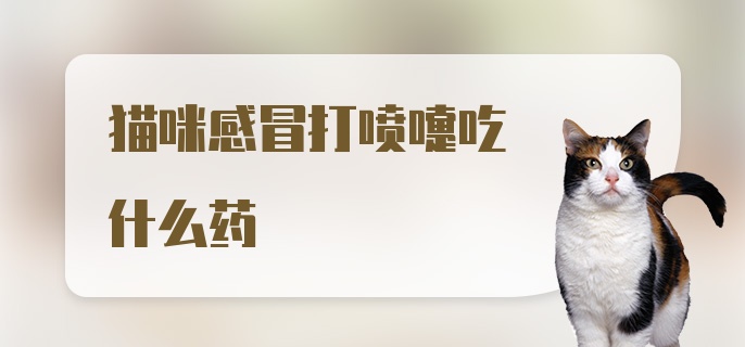 猫咪感冒打喷嚏吃什么药