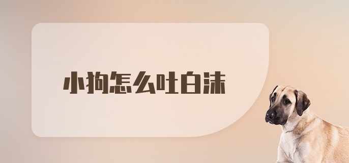 小狗怎么吐白沫