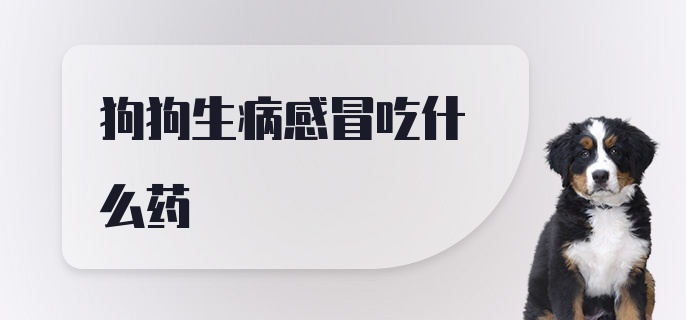 狗狗生病感冒吃什么药