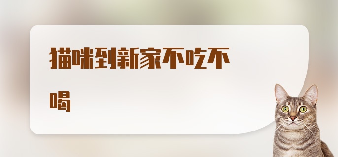 猫咪到新家不吃不喝