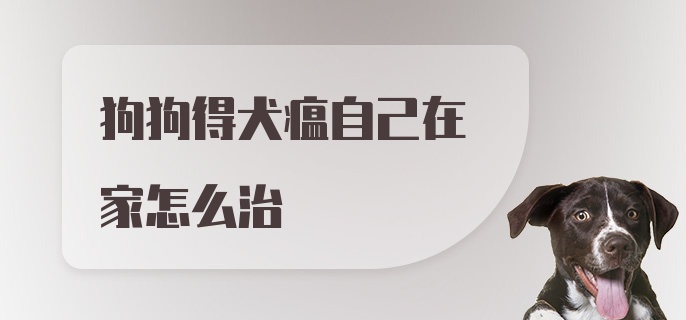 狗狗得犬瘟自己在家怎么治