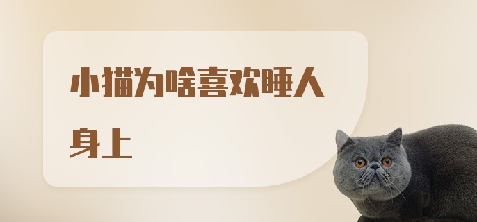 小猫为啥喜欢睡人身上