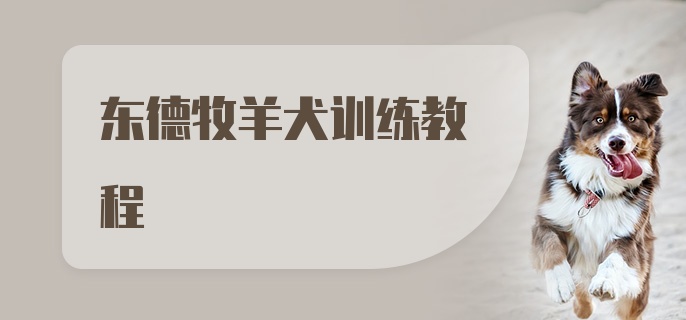 东德牧羊犬训练教程