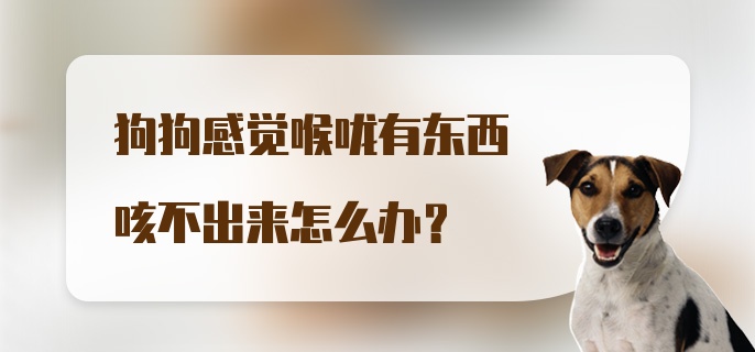 狗狗感觉喉咙有东西咳不出来怎么办？