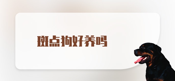 斑点狗好养吗