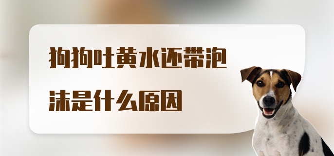 狗狗吐黄水还带泡沫是什么原因