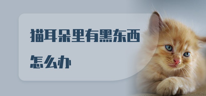 猫耳朵里有黑东西怎么办