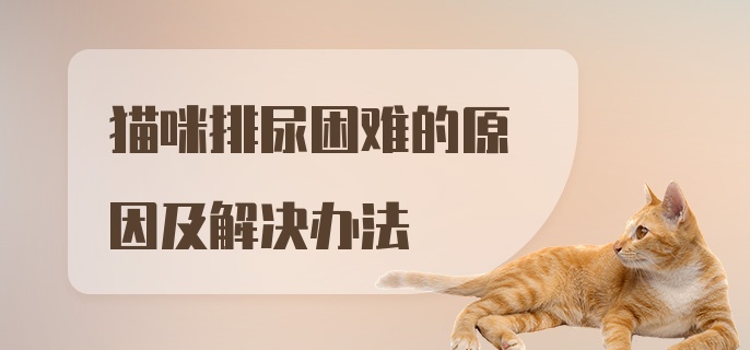 猫咪排尿困难的原因及解决办法