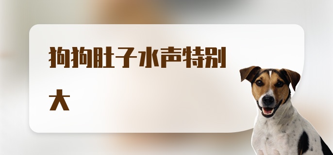 狗狗肚子水声特别大