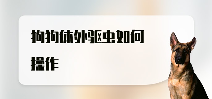 狗狗体外驱虫如何操作