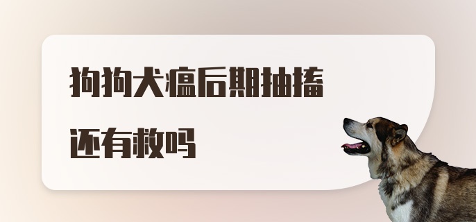 狗狗犬瘟后期抽搐还有救吗