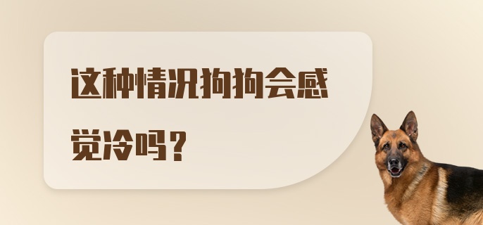 这种情况狗狗会感觉冷吗？