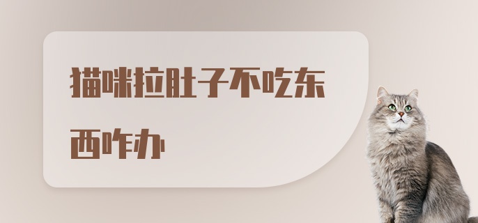 猫咪拉肚子不吃东西咋办