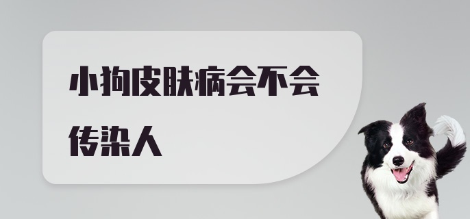 小狗皮肤病会不会传染人