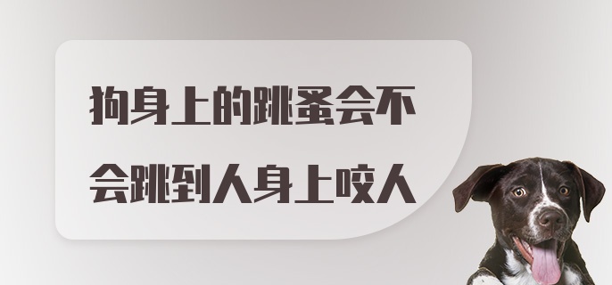 狗身上的跳蚤会不会跳到人身上咬人