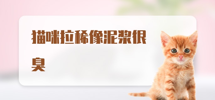 猫咪拉稀像泥浆很臭