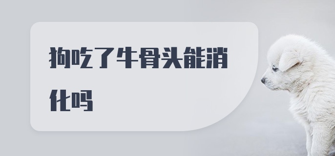 狗吃了牛骨头能消化吗