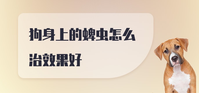 狗身上的蜱虫怎么治效果好