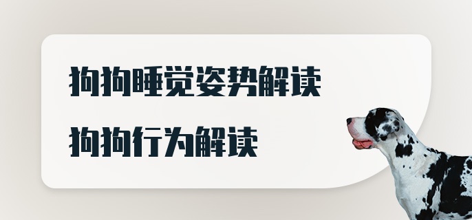 狗狗睡觉姿势解读狗狗行为解读