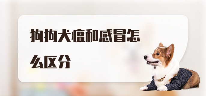 狗狗犬瘟和感冒怎么区分