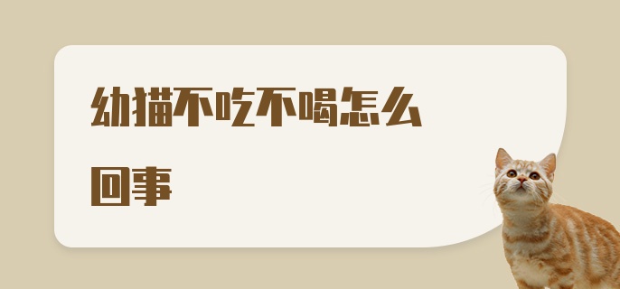 幼猫不吃不喝怎么回事