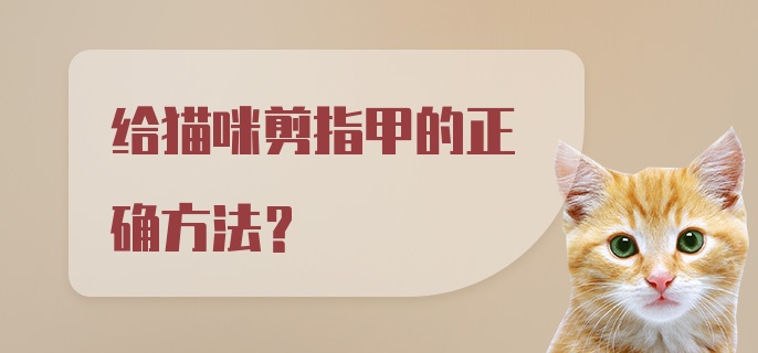 给猫咪剪指甲的正确方法？