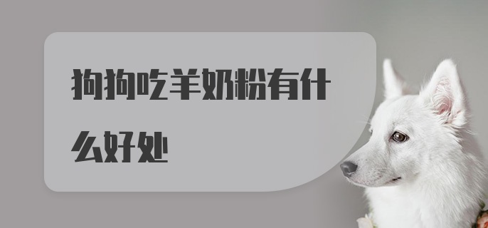 狗狗吃羊奶粉有什么好处