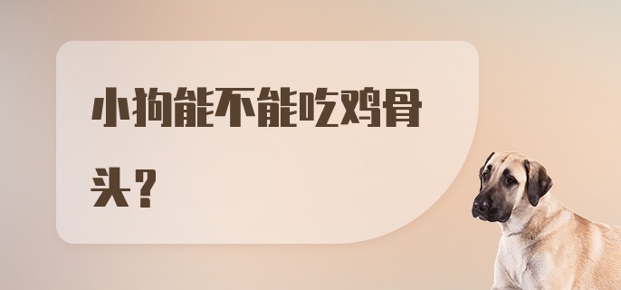 小狗能不能吃鸡骨头？