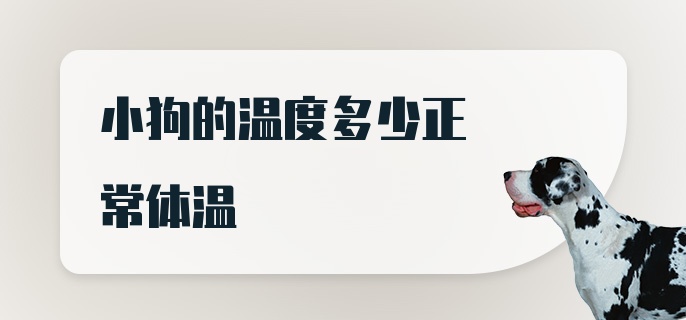 小狗的温度多少正常体温