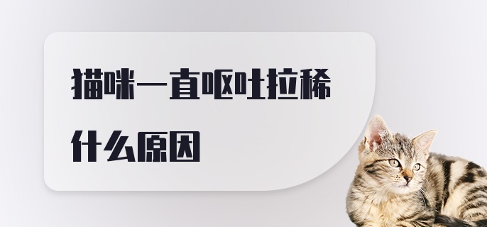 猫咪一直呕吐拉稀什么原因