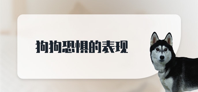 狗狗恐惧的表现