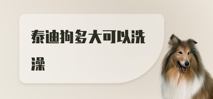 泰迪狗多大可以洗澡