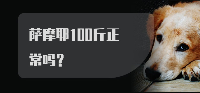 萨摩耶100斤正常吗?