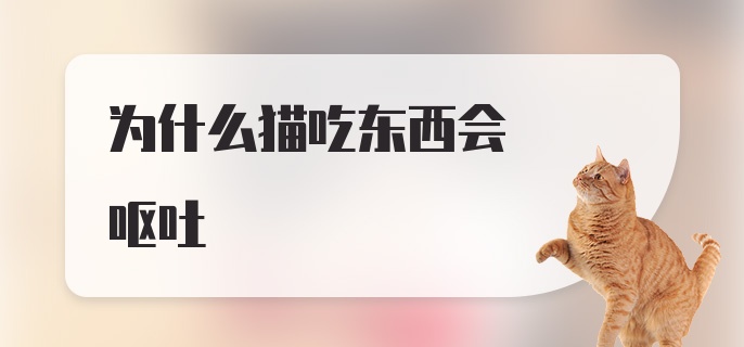 为什么猫吃东西会呕吐