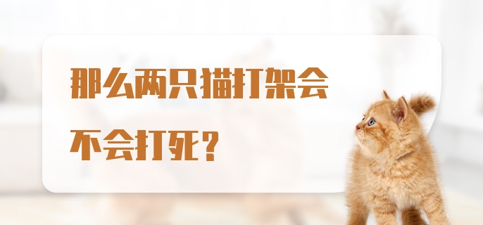 那么两只猫打架会不会打死？