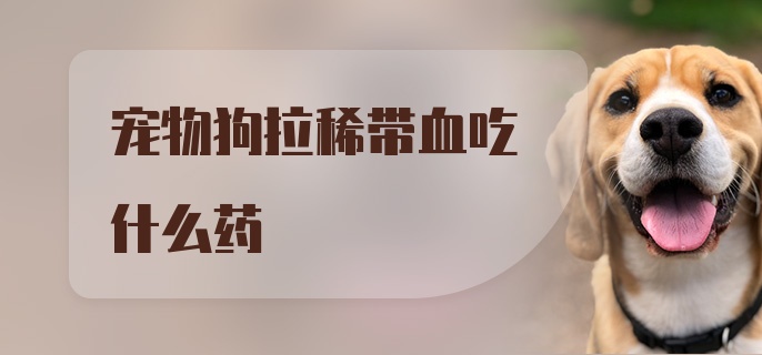 宠物狗拉稀带血吃什么药