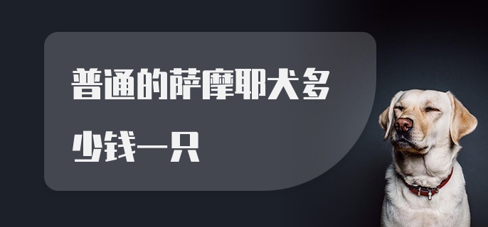 普通的萨摩耶犬多少钱一只