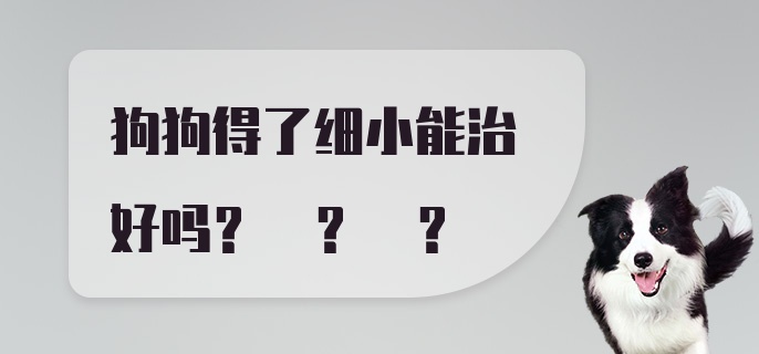 狗狗得了细小能治好吗? ? ?