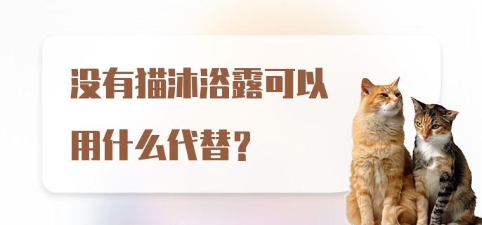 没有猫沐浴露可以用什么代替？