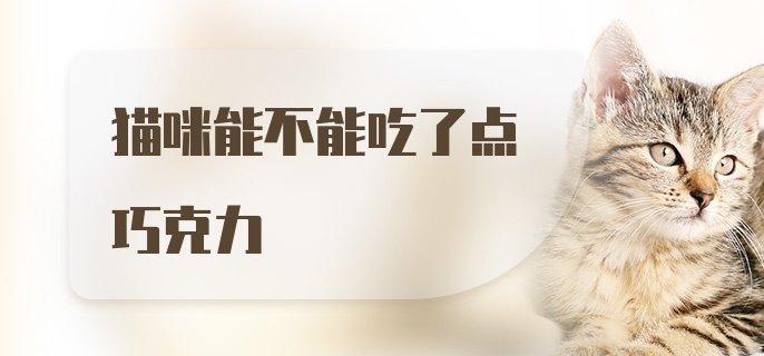 猫咪能不能吃了点巧克力