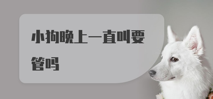 小狗晚上一直叫要管吗