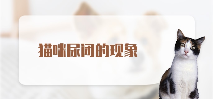 猫咪尿闭的现象