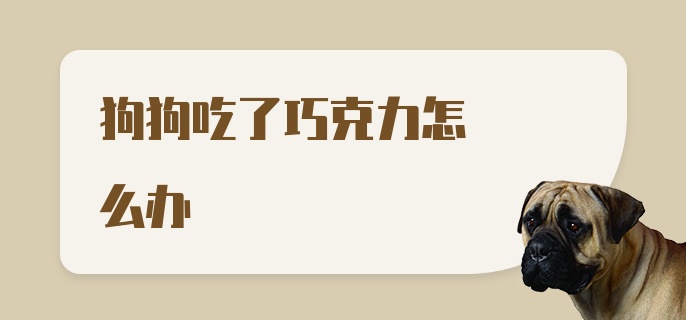 狗狗吃了巧克力怎么办啊?