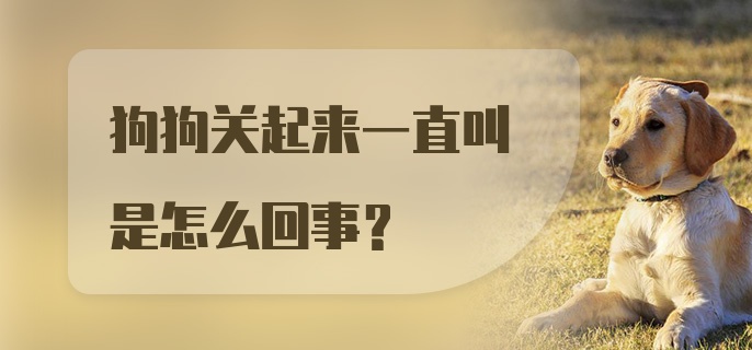 狗狗关起来一直叫是怎么回事？