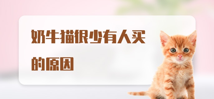 奶牛猫很少有人买的原因