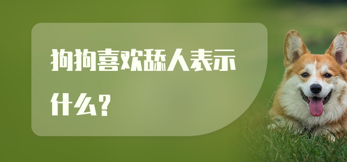 狗狗喜欢舔人表示什么?