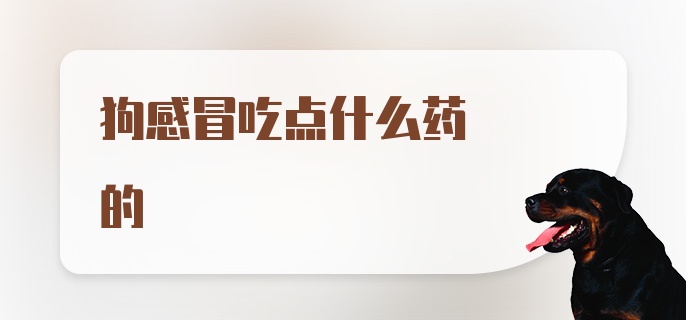 狗感冒吃点什么药的