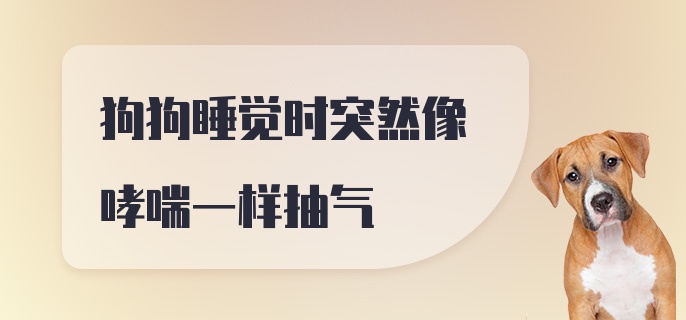 狗狗睡觉时突然像哮喘一样抽气