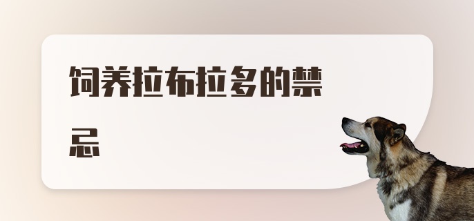 饲养拉布拉多的禁忌